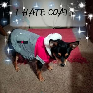 Meet your Posher, Joni